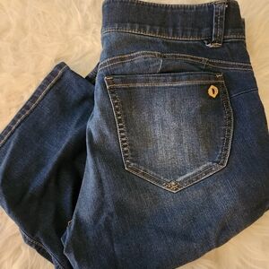 Democracy Indigo Skinny Jeans